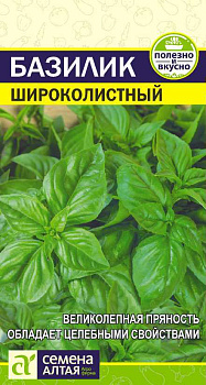 Зелень Базилик Широколистный/Сем Алт/цп 0,3 гр.
