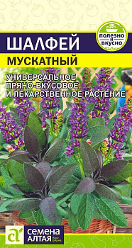 Зелень Шалфей Мускатный/Сем Алт/цп 0,1 гр.