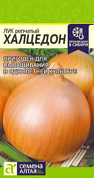 Лук Халцедон/Сем Алт/цп 1 гр.р