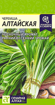 Лук Черемша алтайская/Сем Алт/цп 0,3 гр. НОВИНКА!