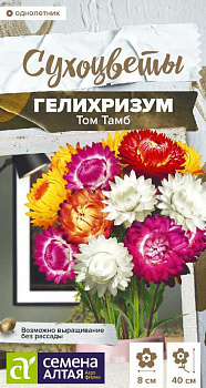 Цветы Гелихризум Том Тамб/Сем Алт/цп 0,1 Сухоцветы