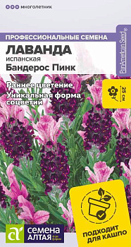 Цветы Лаванда Бандерос Пинк испанская/Сем Алт/цп 5 шт. многолетник НОВИНКА