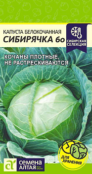 Капуста Сибирячка 60/Сем Алт/цп 0,5 гр.р Сибирская Селекция!