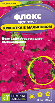 Цветы Флокс Красотка в малиновом друммонда/Сем Алт/цп 0,05 гр.