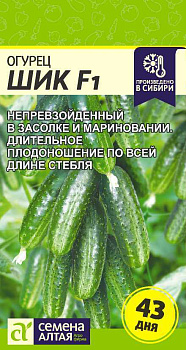 Огурец Шик F1/Сем Алт/цп 5 шт.