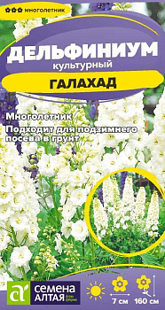 Цветы Дельфиниум Галахад/Сем Алт/цп 0,05 гр. многолетник