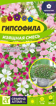 Цветы Гипсофила Изящная Смесь/Сем Алт/цп 0,2 гр.