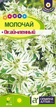 Цветы Молочай Горный снег окаймленный/Сем Алт/цп 0,5 гр.