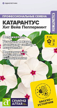 Цветы Катарантус Хит Вейв Пепперминт/Сем Алт/цп 5 шт.