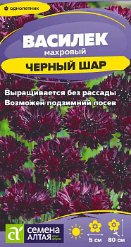 Цветы Василек Черный шар махровый/Сем Алт/цп 0,3 гр.