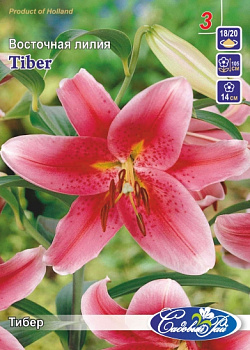 Лилия Тибер
