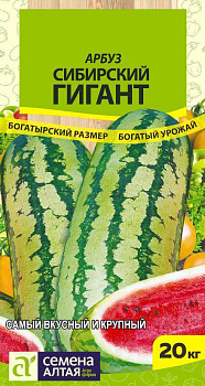 Арбуз Сибирский Гигант/Сем Алт/цп 1 гр. СЕРИЯ СИБИРСКИЕ ГИГАНТЫ! 
