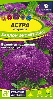 Цветы Астра Баллон Фиолетовая/Сем Алт/цп 0,1 гр.