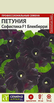 Цветы Петуния Софистика Блекберри/Сем Алт/цп 5 шт.