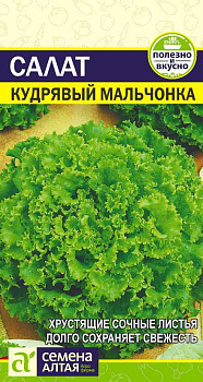 Зелень Салат Кудрявый Мальчонка/Сем Алт/цп 0,5 гр.