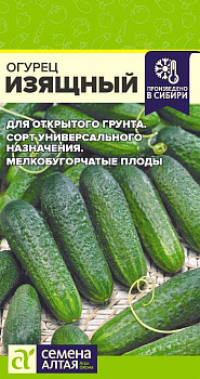 Огурец Изящный/Сем Алт/цп 0,5 гр.р