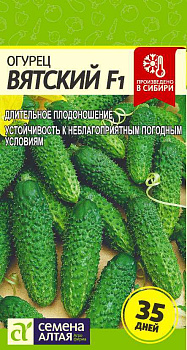 Огурец Вятский F1/Сем Алт/цп 6 шт.р