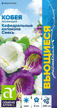 Цветы Кобея Кафедральные колокола Смесь лазающая/Сем Алт/цп 5 шт Вьющиеся растения