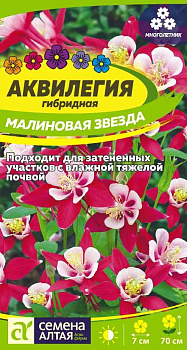 Цветы Аквилегия Малиновая Звезда гибр./Сем Алт/цп 0,1 гр. многолетник