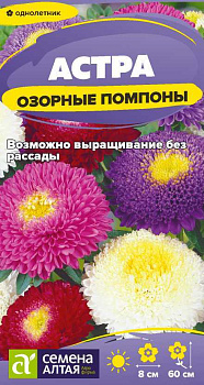Цветы Астра Озорные Помпоны/Сем Алт/цп 0,2 гр.
