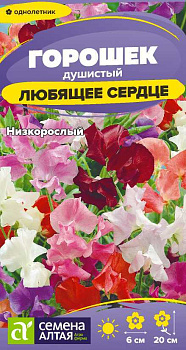 Цветы Душистый горошек Любящее сердце/Сем Алт/цп 0,5 низкорослый