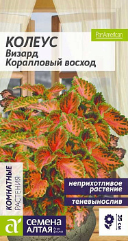 Цветы Колеус Визард Коралловый Восход/Сем Алт/цп 5 шт.
