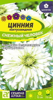 Цветы Цинния Снежный Человек кактусовидная/Сем Алт/цп 0,2 гр.