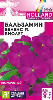 Цветы Бальзамин Беленс F1 Виолет/Сем Алт/цп 4 шт.