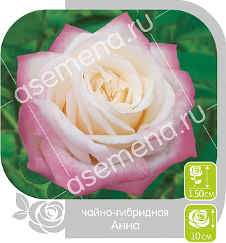 Роза Анна