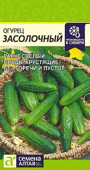 Огурец Засолочный/Сем Алт/цп 0,3 гр.р