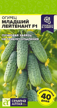 Огурец Младший Лейтенант F1/Сем Алт/цп 5 шт.р