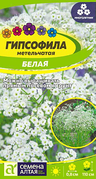 Цветы Гипсофила Белая метельчатая/Сем Алт/цп 0,2 гр. многолетник