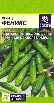 Огурец Феникс/Сем Алт/цп 0,5 гр.р