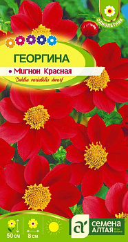 Цветы Георгина Мигнон Красная/Сем Алт/цп 0,2 гр.
