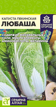 Капуста Пекинская Любаша/Сем Алт/цп 0,3 гр.р АЗИАТСКИЙ ОГОРОД!