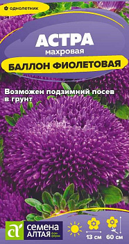 Цветы Астра Баллон Фиолетовая/Сем Алт/цп 0,05 гр.