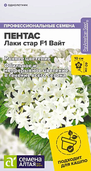 Цветы Пентас Лаки стар F1 Вайт ланцетовидный/Сем Алт/цп 3 шт. НОВИНКА