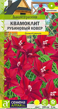Цветы Квамоклит Рубиновый ковер перистый/Сем Алт/цп 0,2 гр. Вьющиеся растения