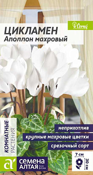 Цветы Цикламен Аполлон махровый/Сем Алт/цп 3 шт.
