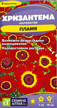 Цветы Хризантема Пламя килеватая/Сем Алт/цп 0,1 гр.