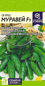Огурец Муравей F1/Сем Алт/цп 5 шт.р