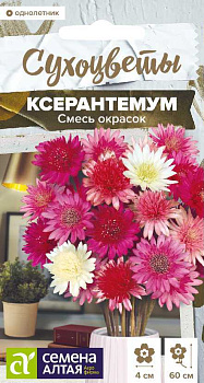 Цветы Ксерантемум Смесь окрасок/Сем Алт/цп 0,05 гр. Сухоцветы