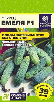 Огурец Емеля F1/Сем Алт/цп 5 шт.р