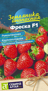 Ягода Земляника Фреска ремонтантная/Сем Алт/цп 5 шт. НОВИНКА