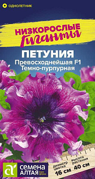Цветы Петуния Превосходнейшая F1 Темно-пурпурная/Сем Алт/цп 7 шт. Низкорослые гиганты