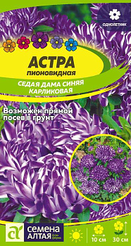Цветы Астра Седая Дама Синяя карликовая/Сем Алт/цп 0,2 гр.