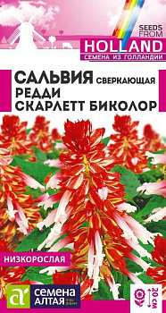 Цветы Сальвия Редди Скарлет биколор сверкающая/Сем Алт/цп 5 шт.