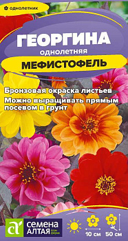 Цветы Георгина Мефистофель/Сем Алт/цп 0,2 гр.