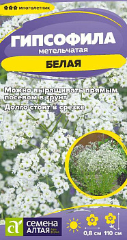 Цветы Гипсофила Белая метельчатая/Сем Алт/цп 0,05 гр. многолетник