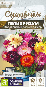 Цветы Гелихризум Королевский размер Смесь/Сем Алт/цп 0,1 гр. Сухоцветы